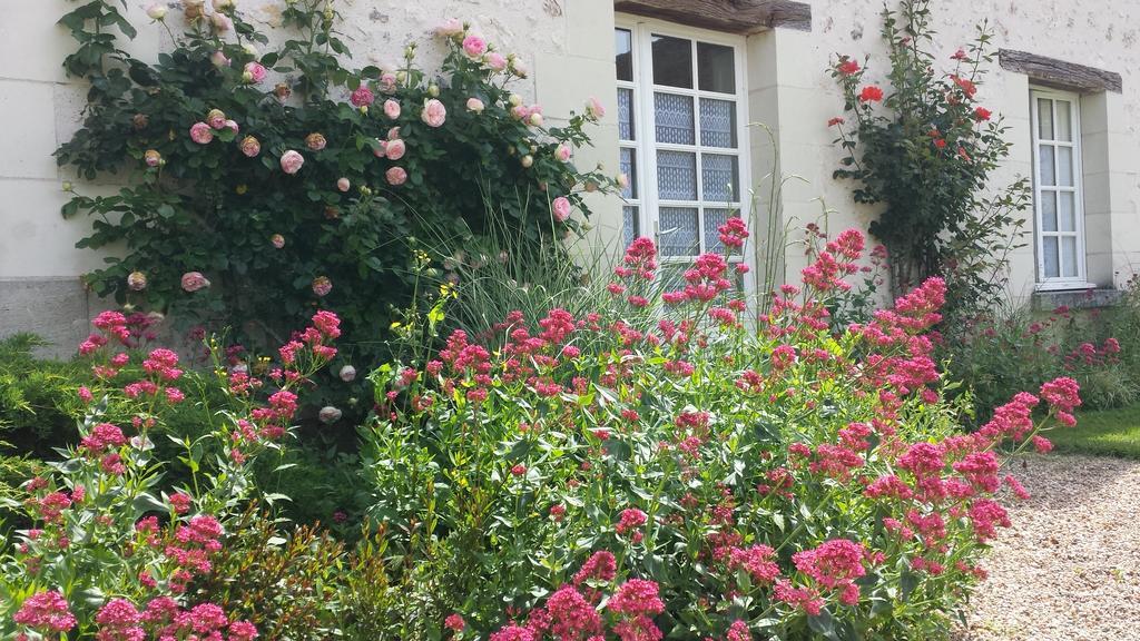La Berdaquerie Villa Villandry Eksteriør bilde